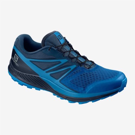 Scarpe Trail Running Salomon SENSE ESCAPE 2 Uomo Blu IT 8-W08